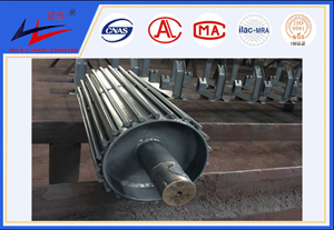 不朽情缘-鼠笼式滚筒